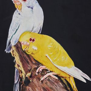 oiseau de cage et de volière (14) 30x20cm 2020 huile sur bois
